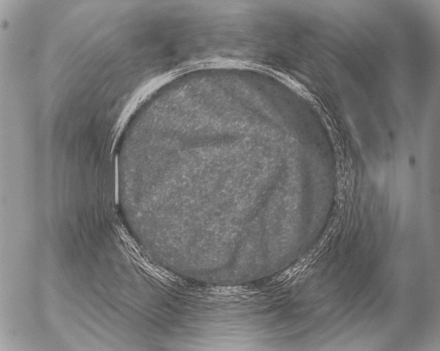 X0000053061223200508081145