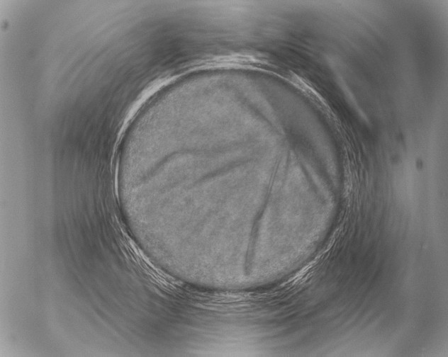 X0000053061224200508081145