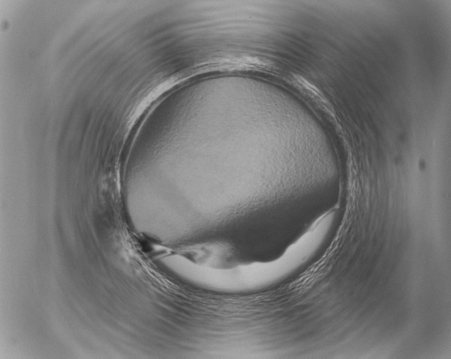 X0000053061226200508081145