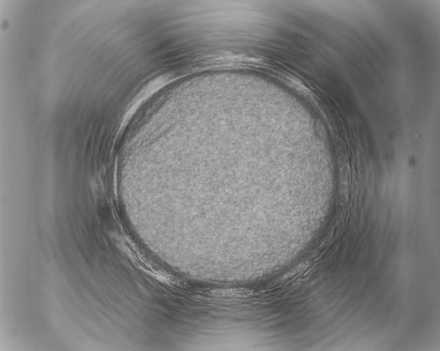 X0000053061227200508081145