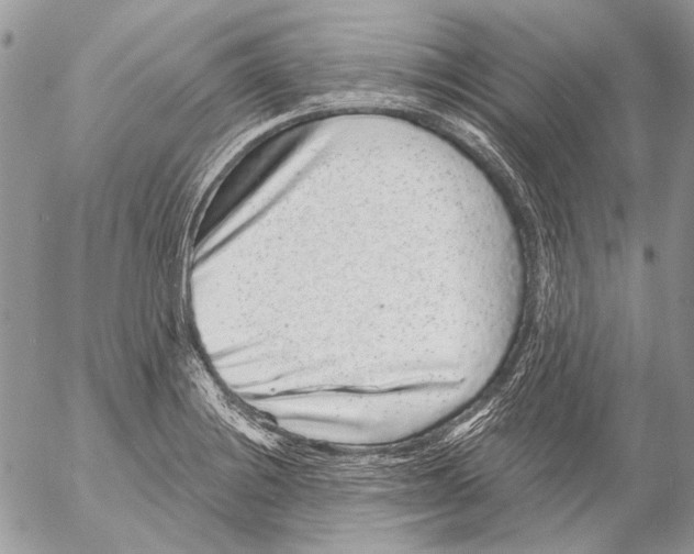 X0000053061228200508081145