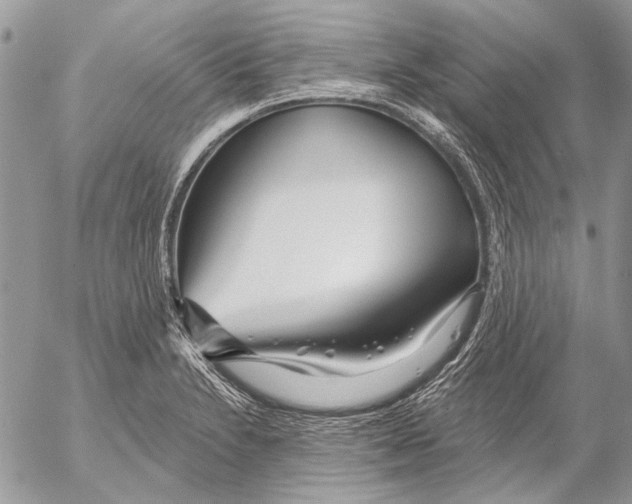 X0000053061230200508081145