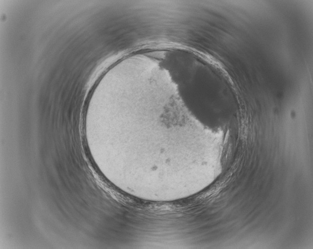 X0000053061231200508081145