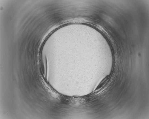 X0000053061232200508081145