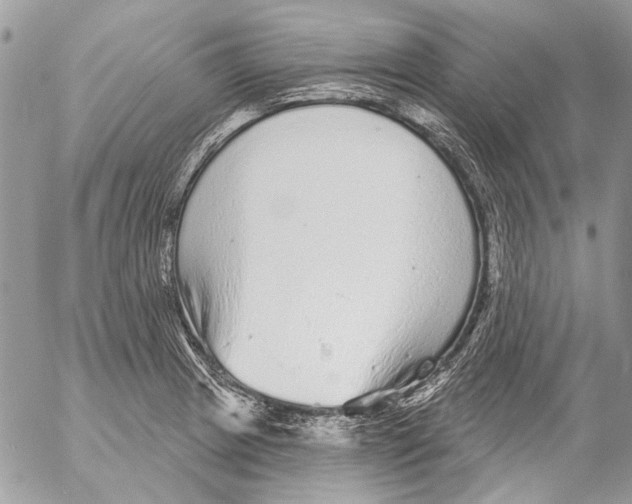 X0000053061233200508081145