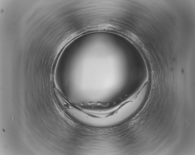 X0000053061234200508081146