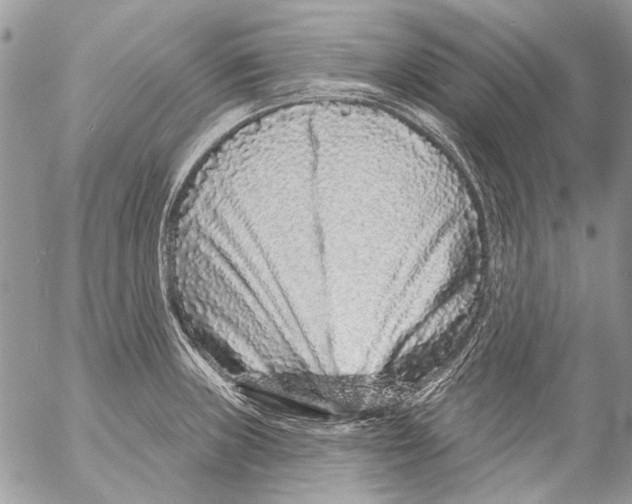 X0000053061235200508081146