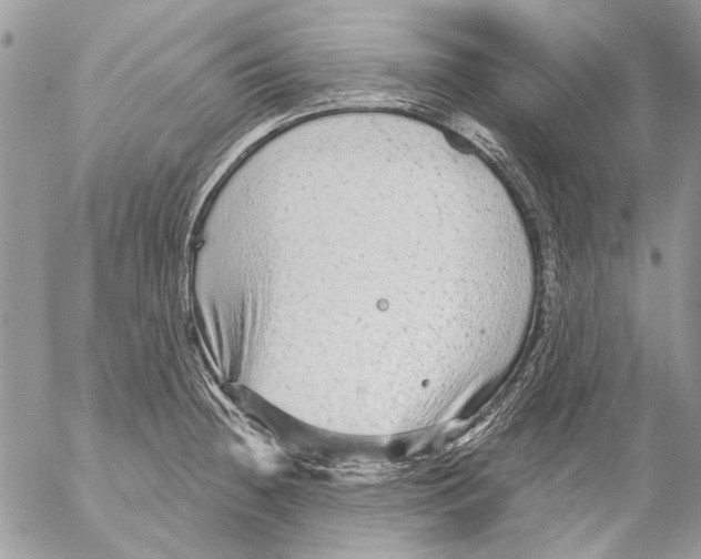 X0000053061236200508081146