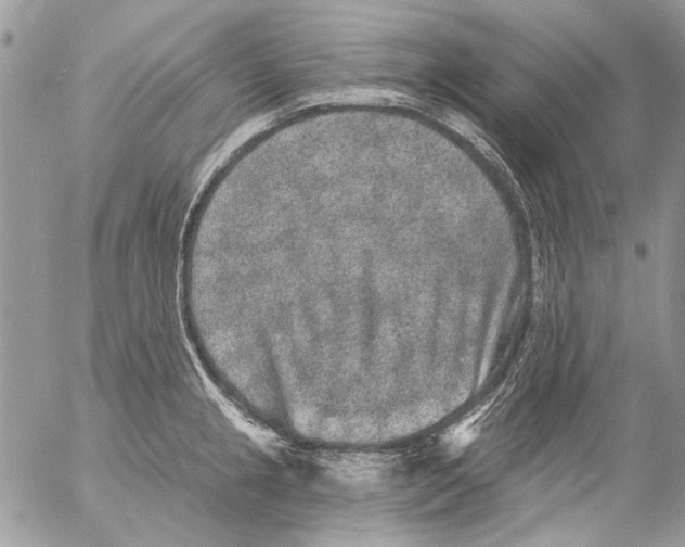 X0000053061237200508081146