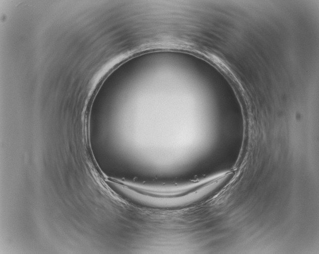 X0000053061238200508081146