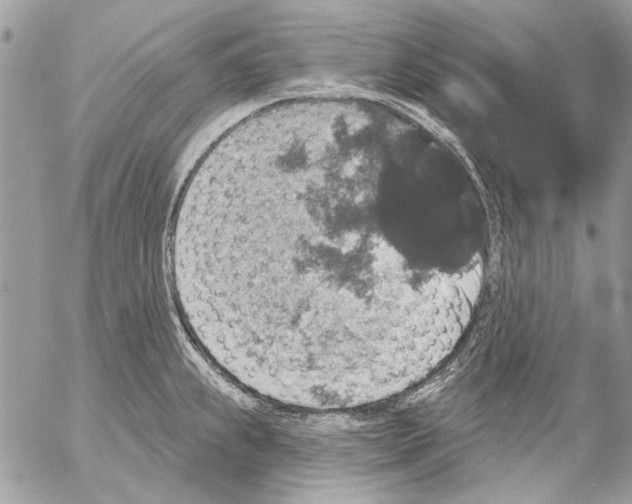 X0000053061239200508081146