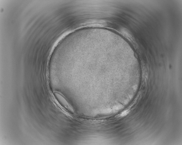 X0000053061240200508081146