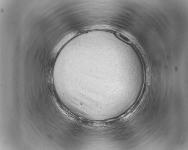 X0000053061241200508081146