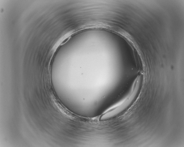 X0000053061242200508081146