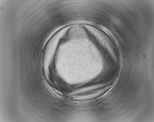 X0000053061244200508081146