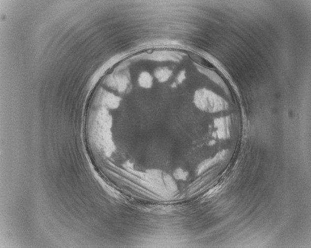 X0000053061245200508081146