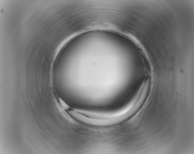 X0000053061246200508081146