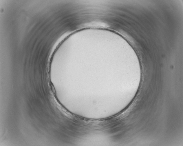 X0000053061248200508081146