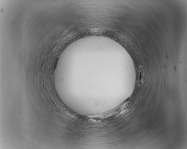 X0000053061249200508081145