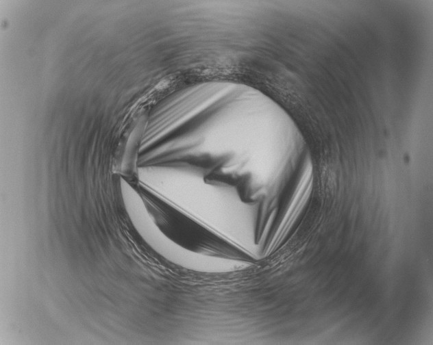 X0000053061250200508081145