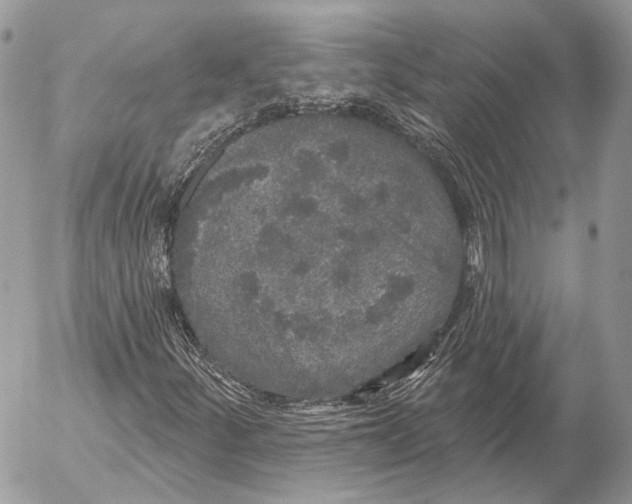 X0000053061252200508081145