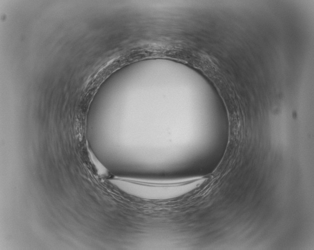 X0000053061253200508081145