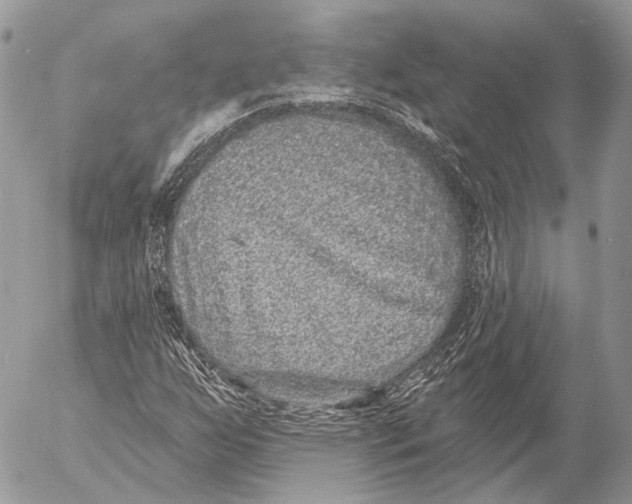 X0000053061255200508081145