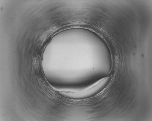 X0000053061257200508081145