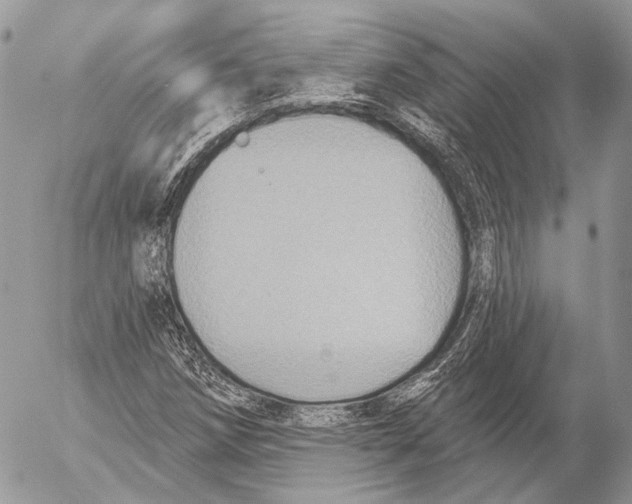 X0000053061258200508081145