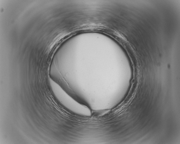 X0000053061259200508081145