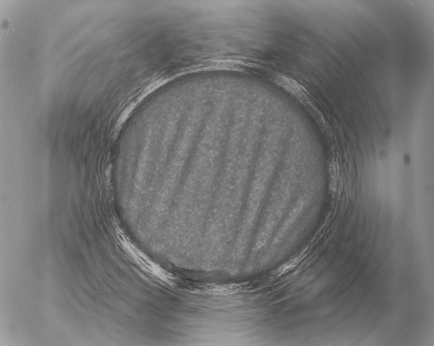 X0000053061260200508081145