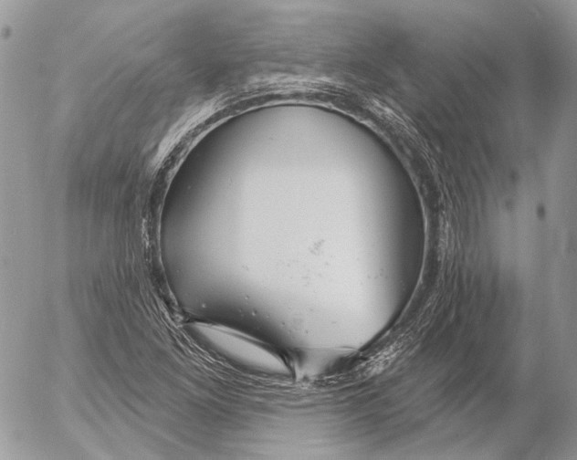 X0000053061261200508081145