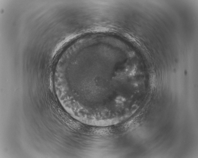 X0000053061262200508081145