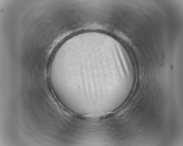 X0000053061264200508081145