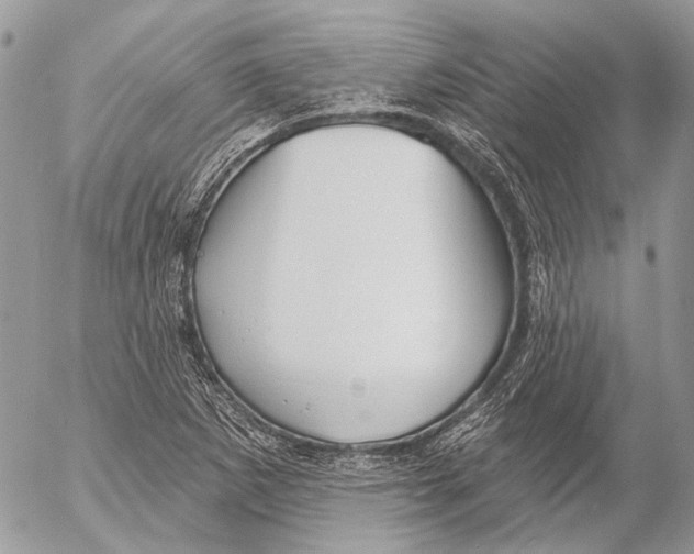 X0000053061265200508081145