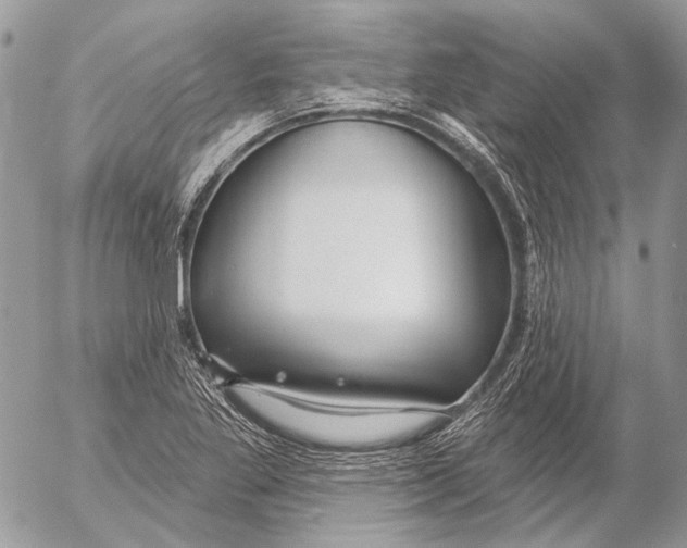 X0000053061269200508081145