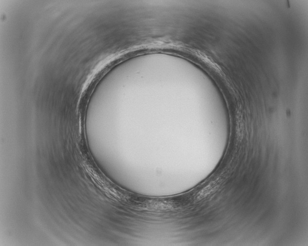 X0000053061270200508081145