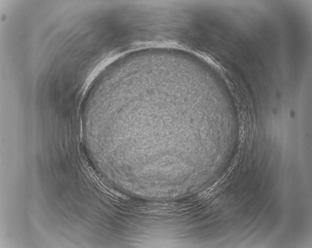 X0000053061271200508081145