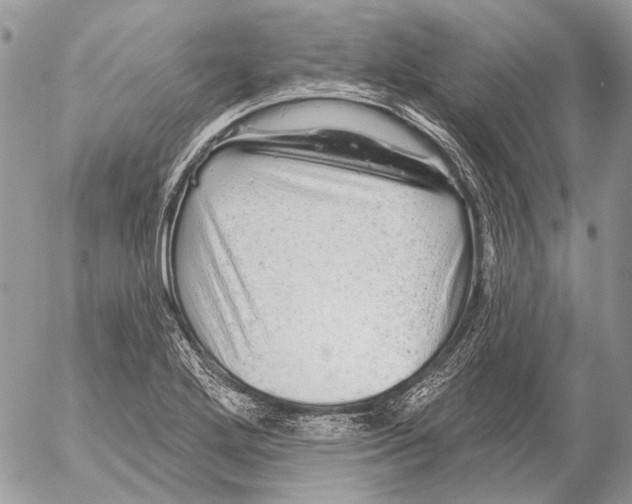 X0000053061272200508081145