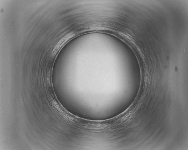 X0000053061273200508081145