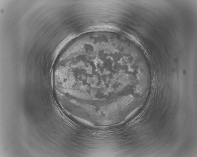 X0000053061275200508081145