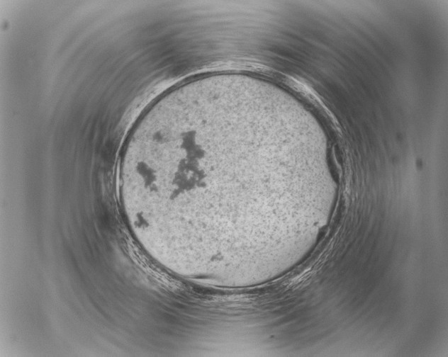 X0000053061276200508081145