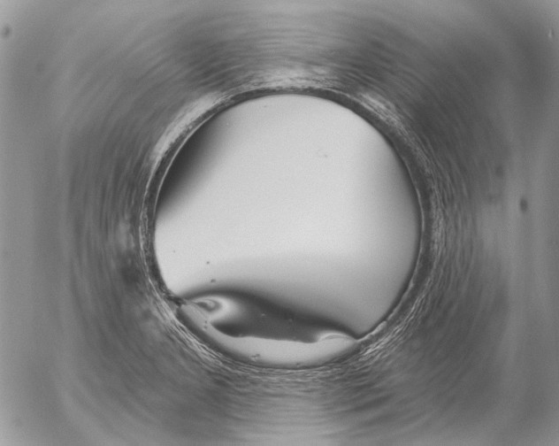 X0000053061277200508081144