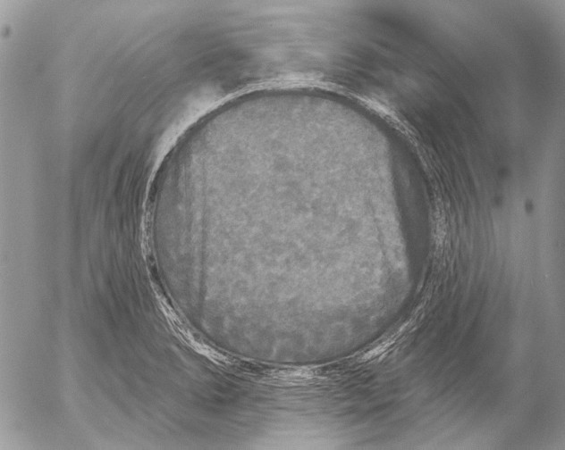 X0000053061278200508081144