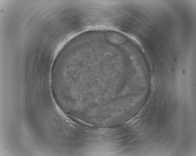 X0000053061279200508081144