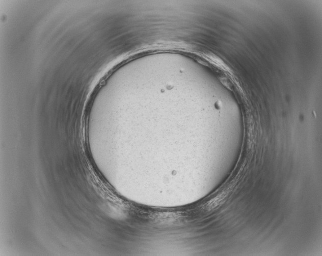 X0000053061280200508081144