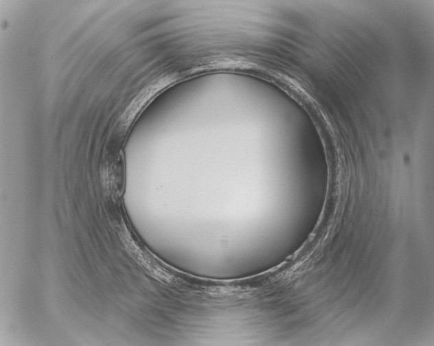 X0000053061281200508081144