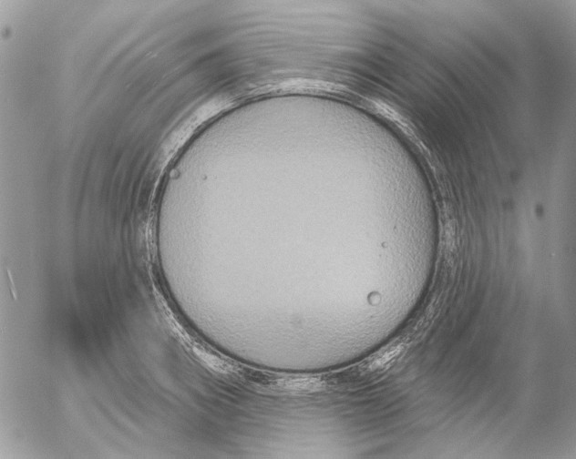 X0000053061282200508081144