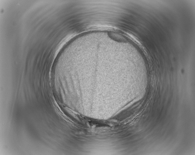 X0000053061283200508081144