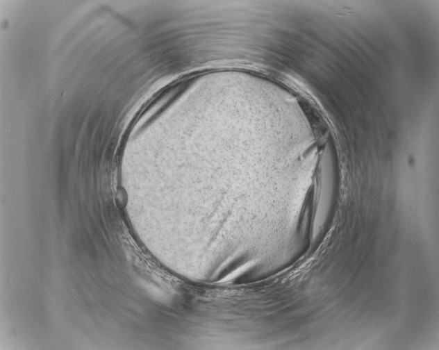 X0000053061284200508081144